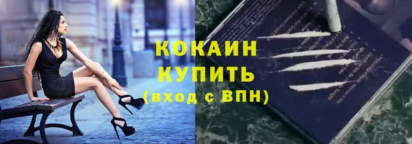хмурый Кодинск