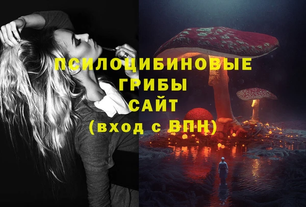 ешки Козельск