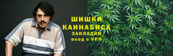 хмурый Кодинск