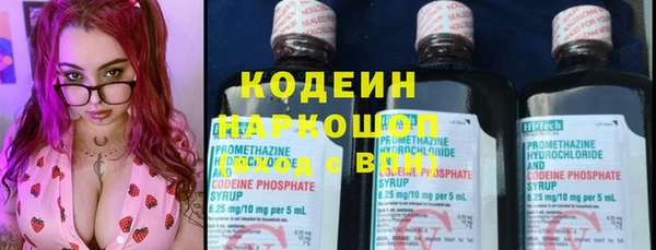хмурый Кодинск