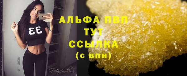 хмурый Кодинск